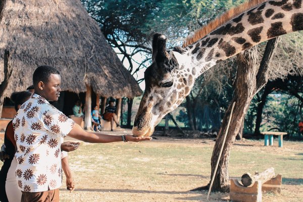 Quelles sont les règles d'or pour un safari réussi au Kenya ?